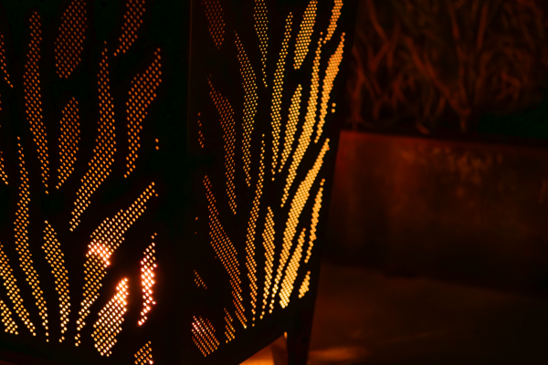 DSC_9123-Enhanced-NR