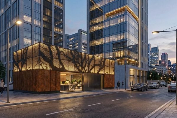 WhatsApp Image 2026-02-19 at 09.53.16